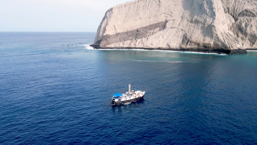 Socorro - plongées avec les mantas et les requins marteaux au Mexique