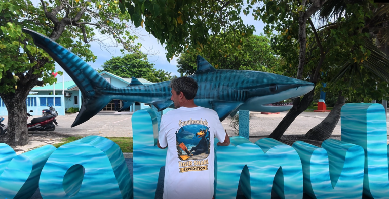 Tiger shark expedition
